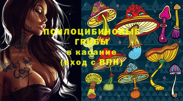 соль ск Алзамай